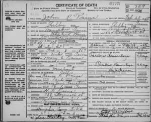 This is the official death certificate of John P. Rains.